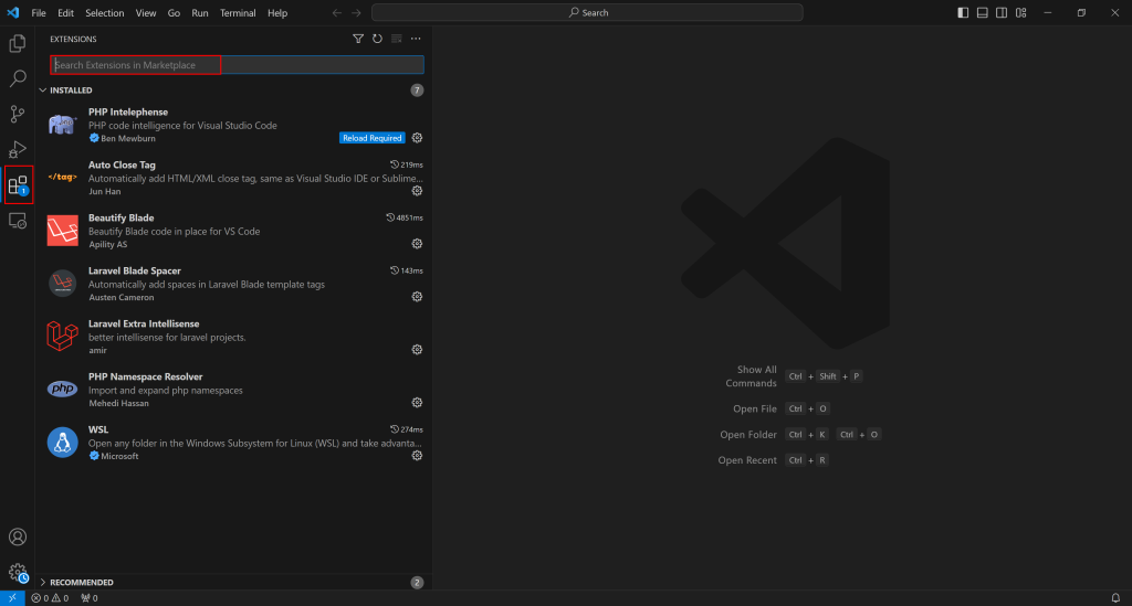 VS Code Editor Extensions